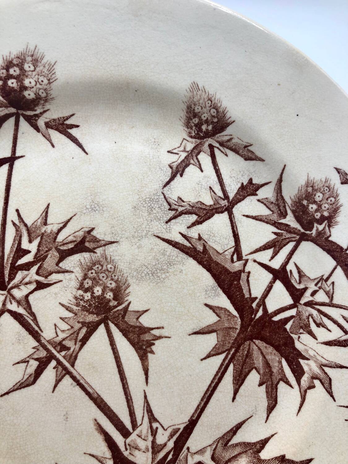 Jules Vieillard Bordeaux dessert plates