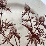 Jules Vieillard Bordeaux dessert plates