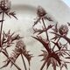 Jules Vieillard Bordeaux dessert plates