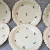 Varene brothers floral decoration plates