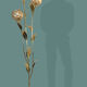 Lampadaire palmier floral laiton et nacre de capiz 1970