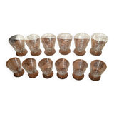 Set of 12 engraved Bohemian Crystal Glasses