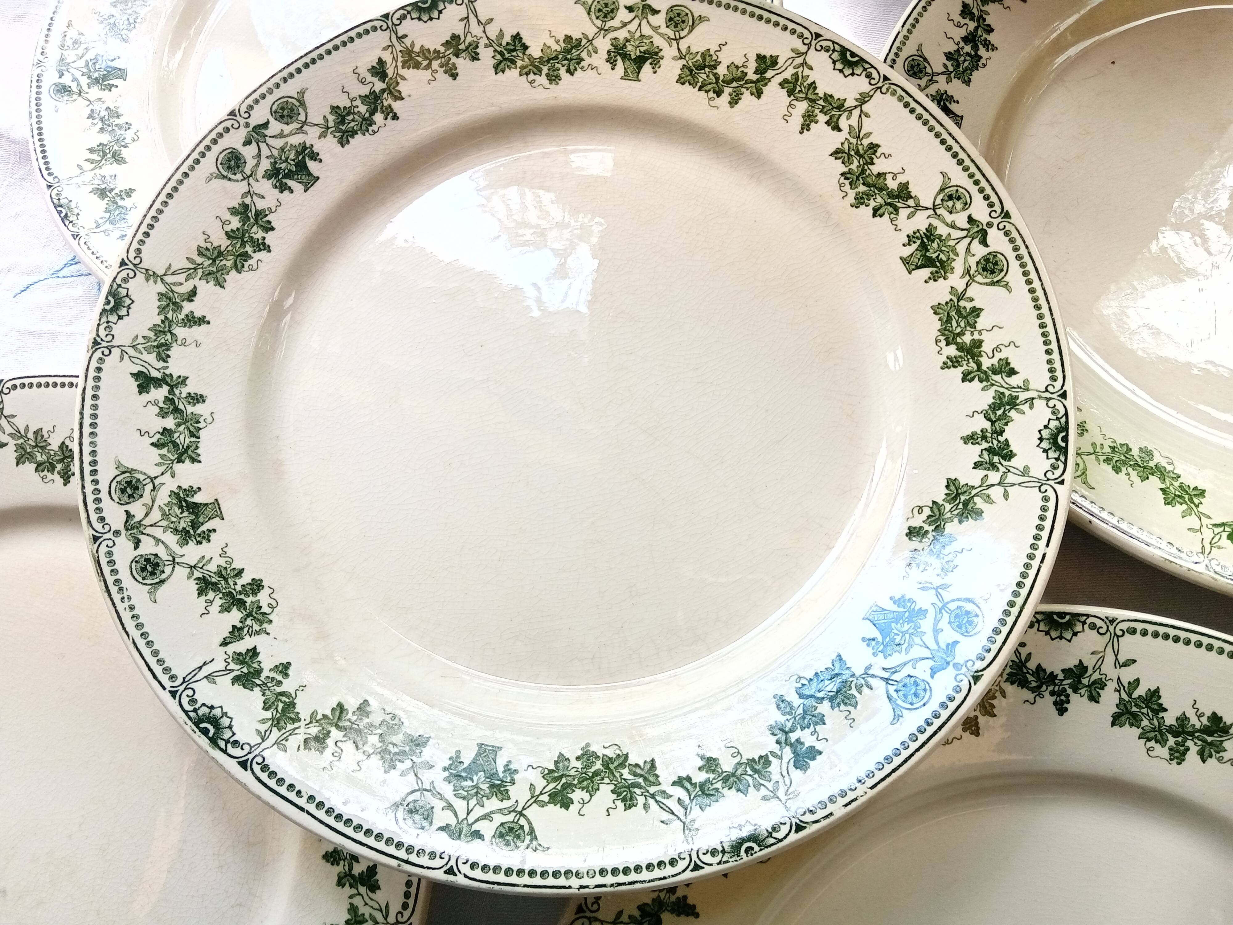 8 plates flat Champagne Salins