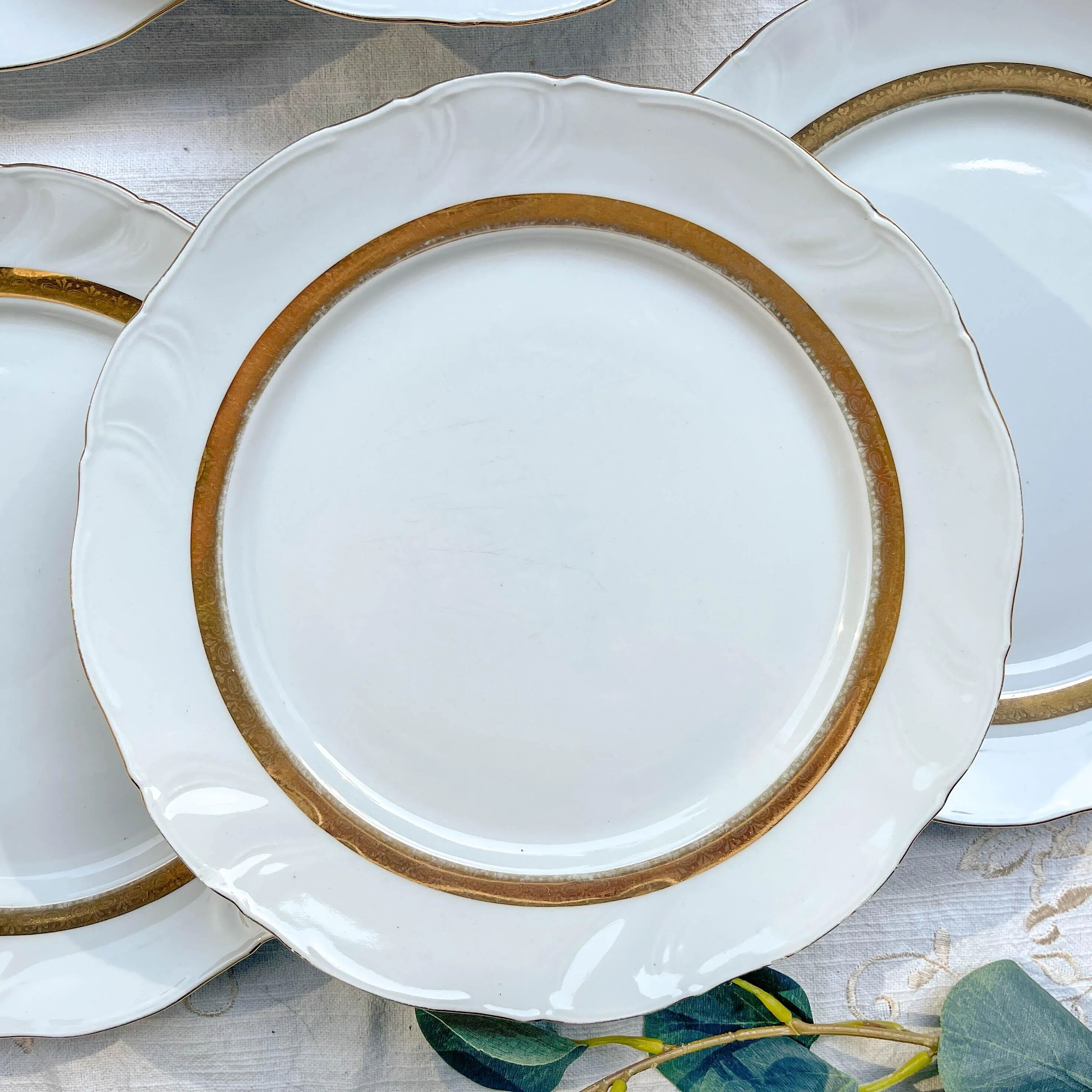 6 Vintage White and Gold Porcelain Dinner Plates Limoge France ADP "Ariane" - Elegant Antique French Tableware