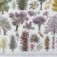 Illustration Millot "Ornamental tree gardens"
