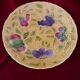 Sarreguemines round slip dish