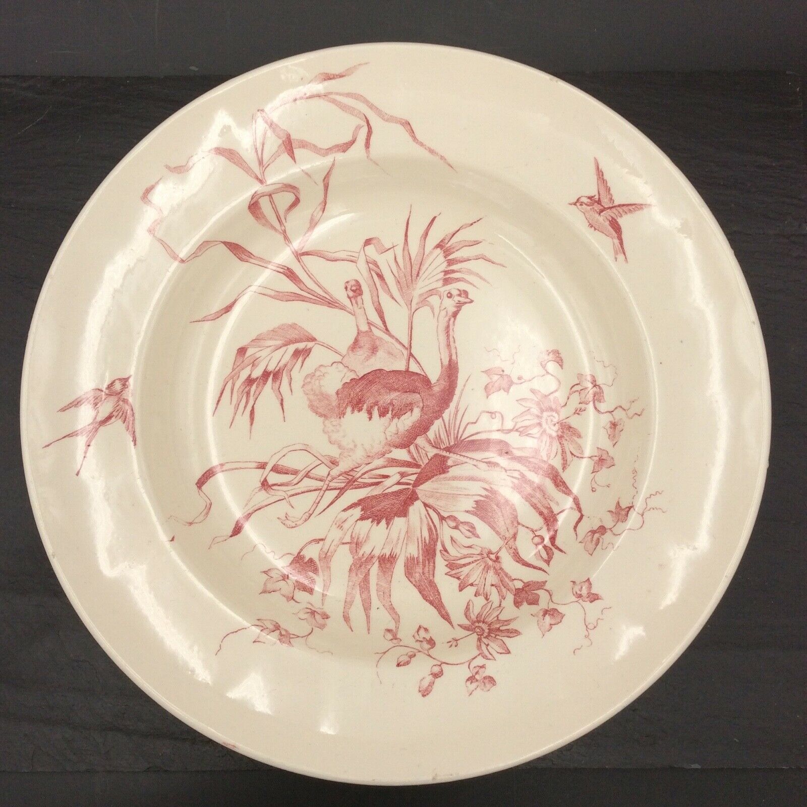 2 ancient hollow plates longchamp congo ostrich parrots