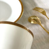Large cup and saucer Haviland