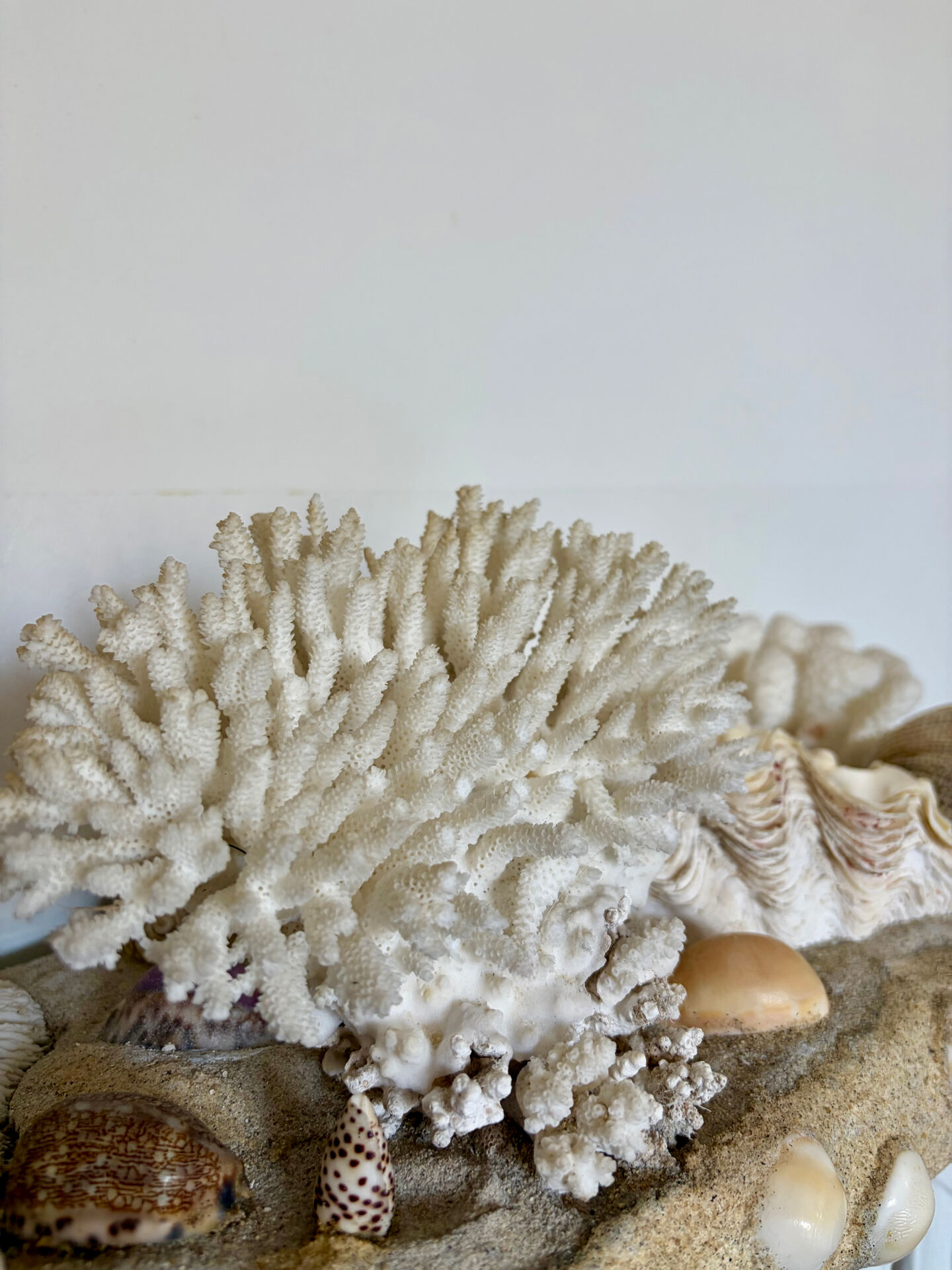 Marine composition