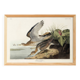 Poster about Maubèche, based on an old engraving from 1827.