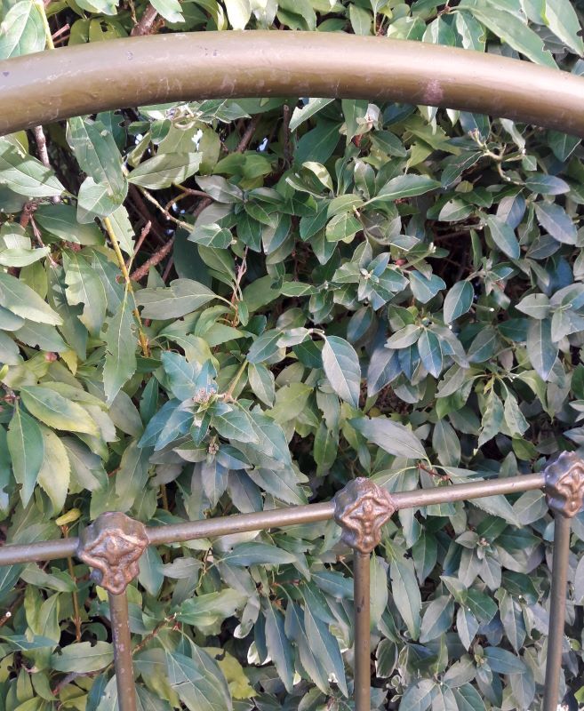 Napoleon III iron headboard L127xH144