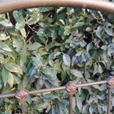 Napoleon III iron headboard L127xH144