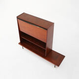 Cabinet du milieu du siècle 1960