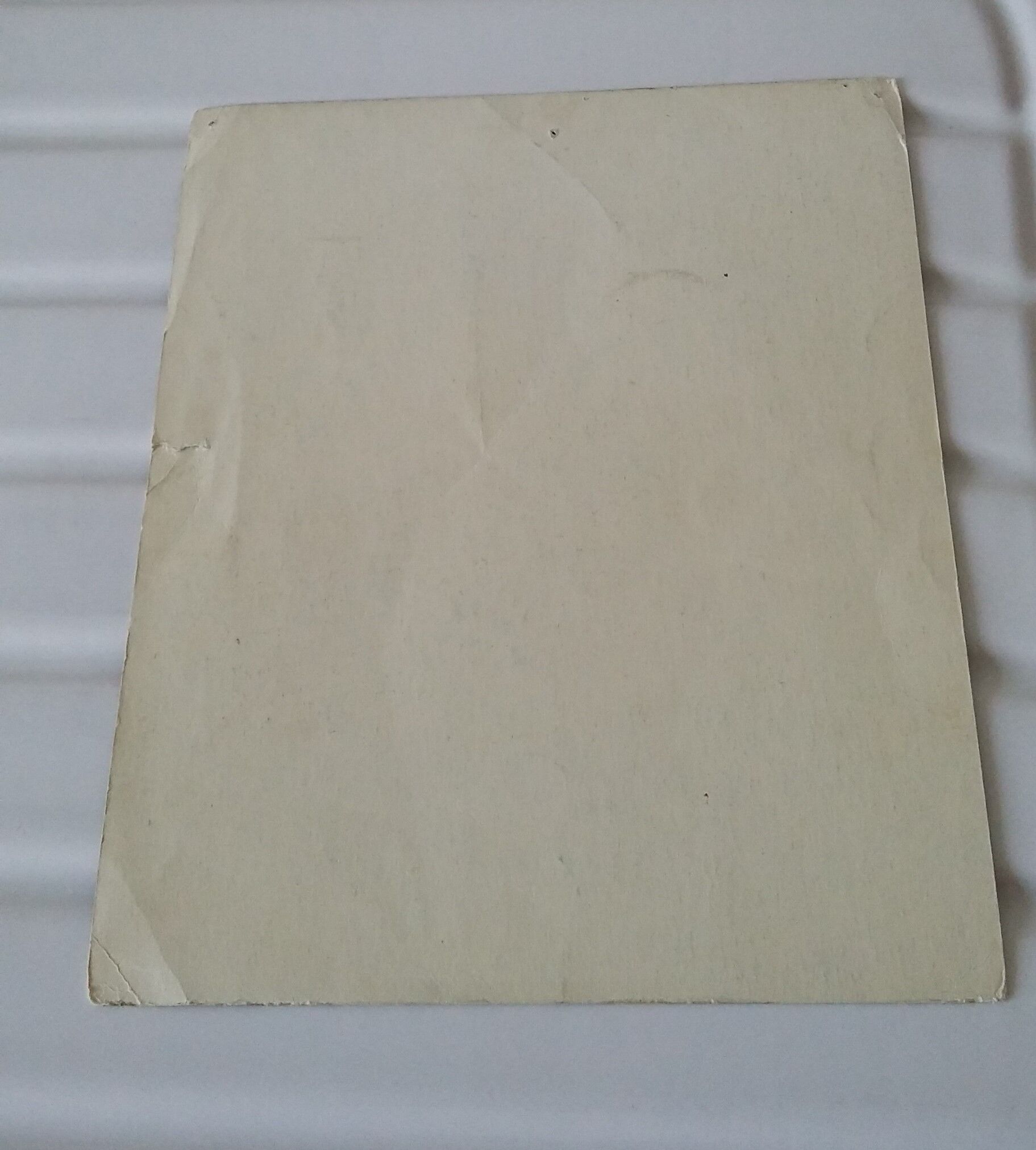 The hedgehog, reading image