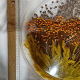 Plateau en plexiglas avec inclusions