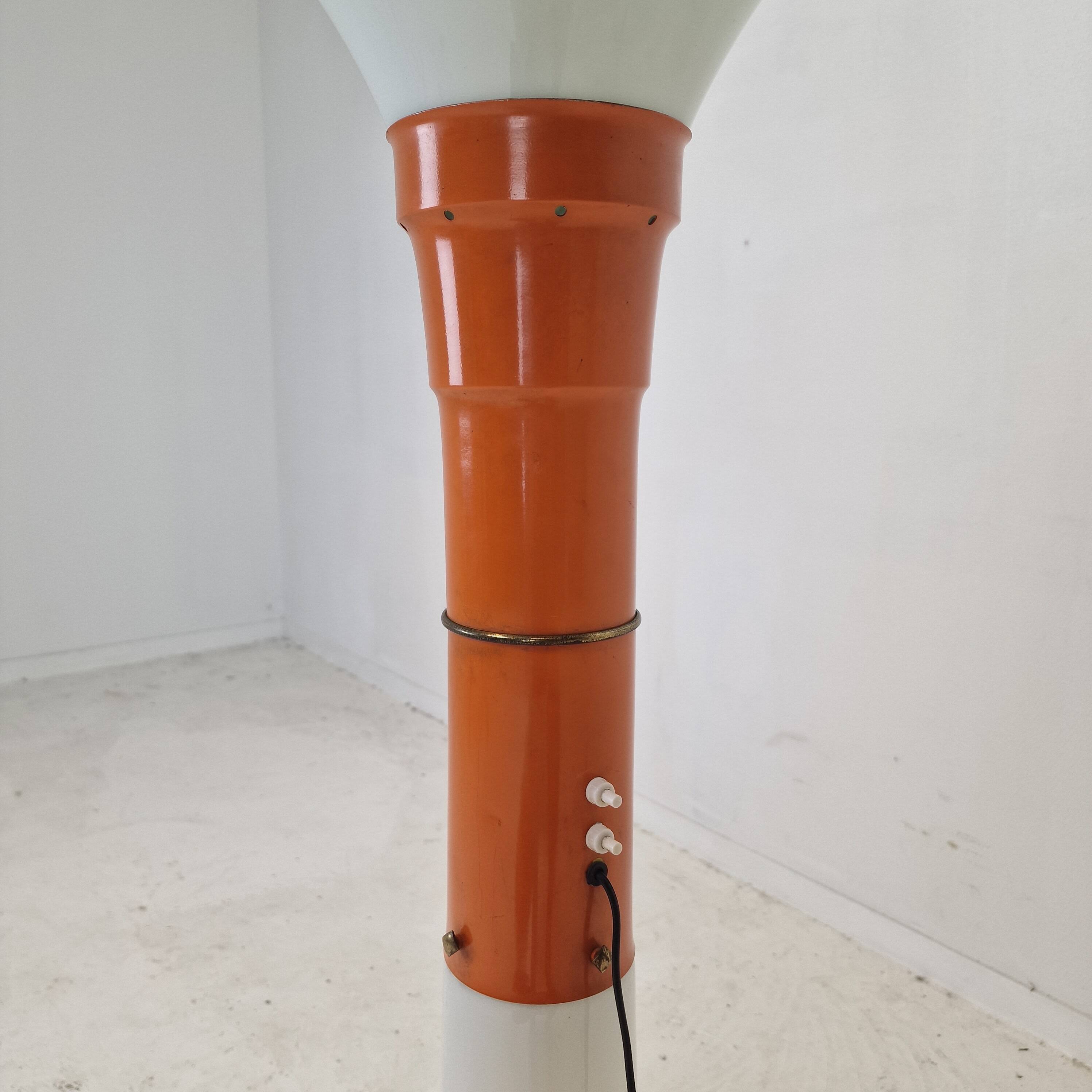 Italian Space Age Murano Glass Floor Lamp, 1970s