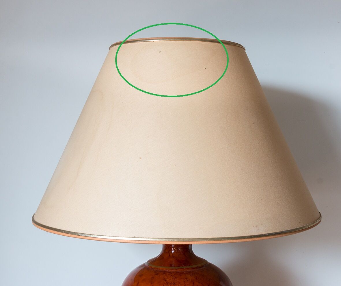 Coral lamp
