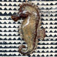 Ceramic wall seahorse