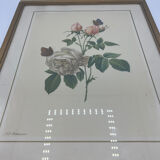 Vintage lithography frame