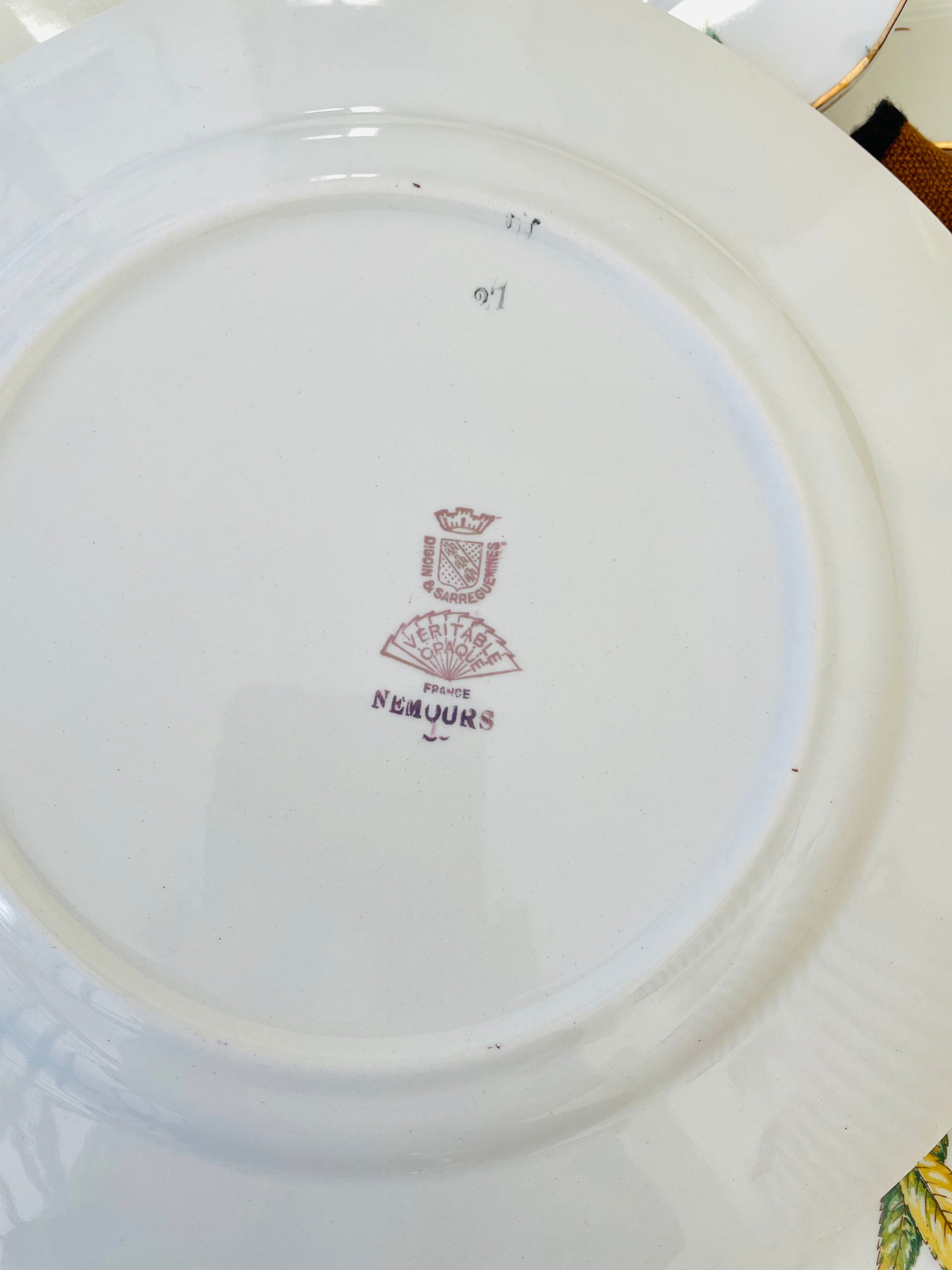 Set of 11 vintage flat plates Digoin Sarreguemines model Nemours