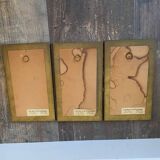 Trio of Japanese ornithological plates