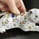 Bouquetière d'applique chat faïence desvres géo martel décor flowers