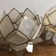 Lotus flowers in mother-of-pearl sconces