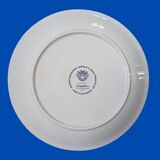 Acapulco plate villeroy & boch