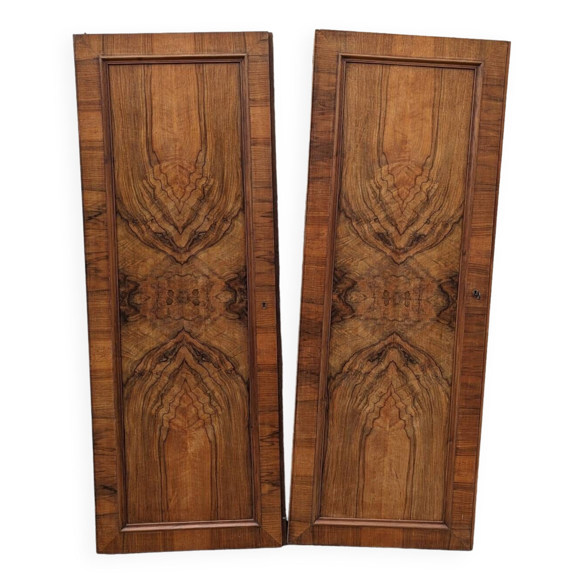 Pair of old cabinet doors