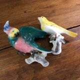 Set of two exotic birds