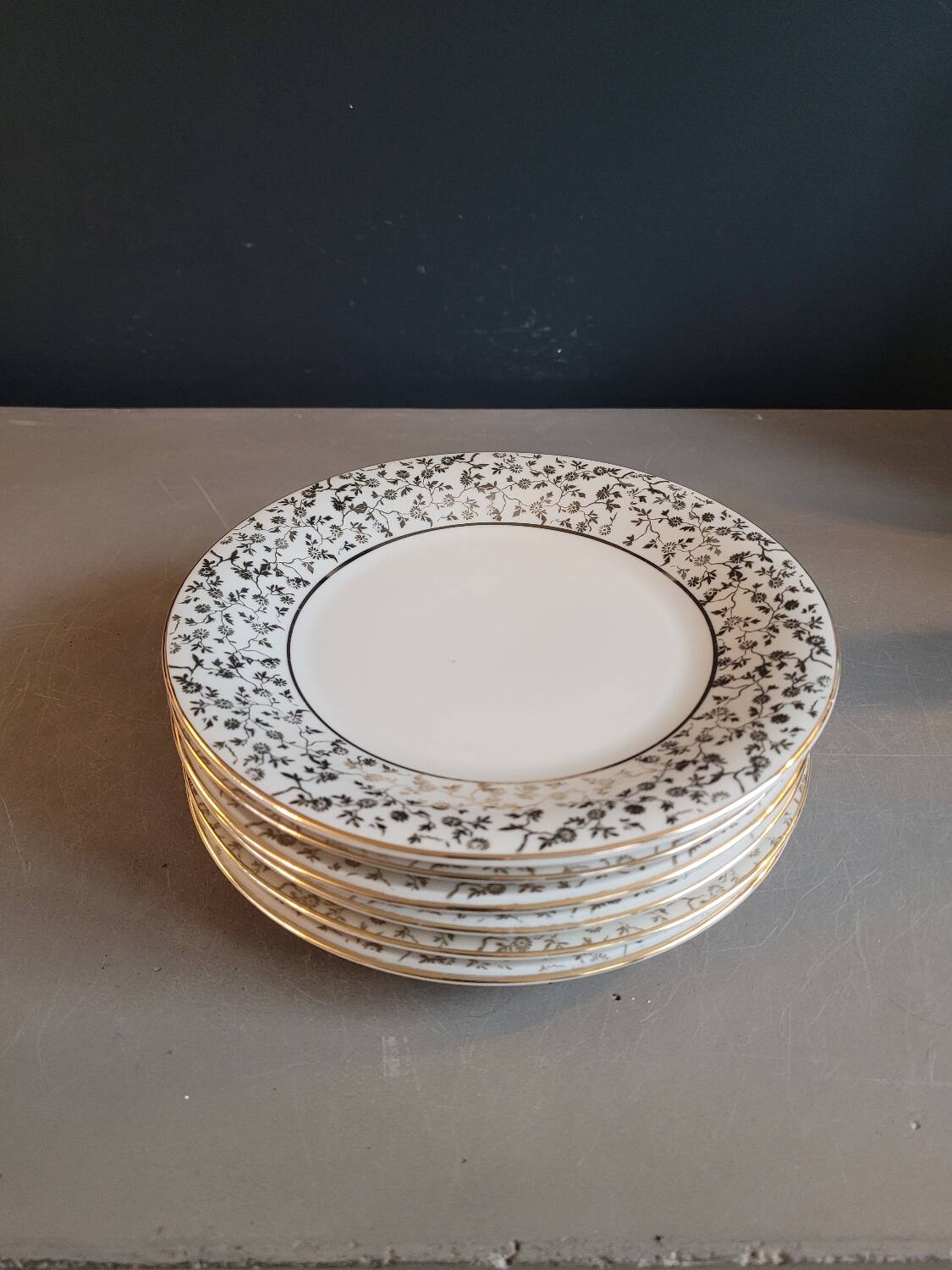 6 Mayer Wiesau Bavarian porcelain dessert plates
