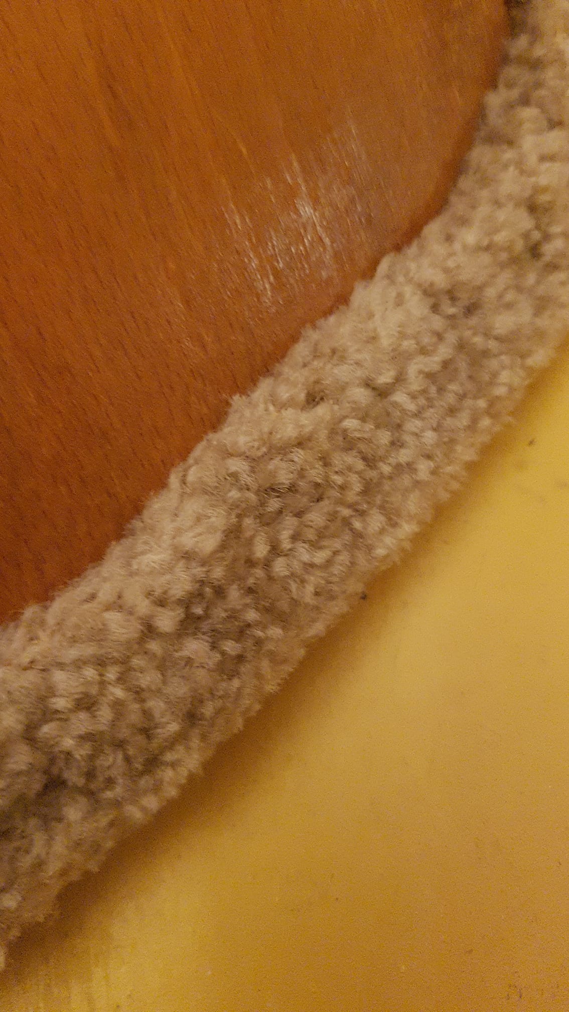 Set of 2 dining room chairs by Arne Hovmand Olsen for Mogens Kold, 1960s