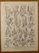 Lithographie sur le fleurs et fleurs de prairie - 1920