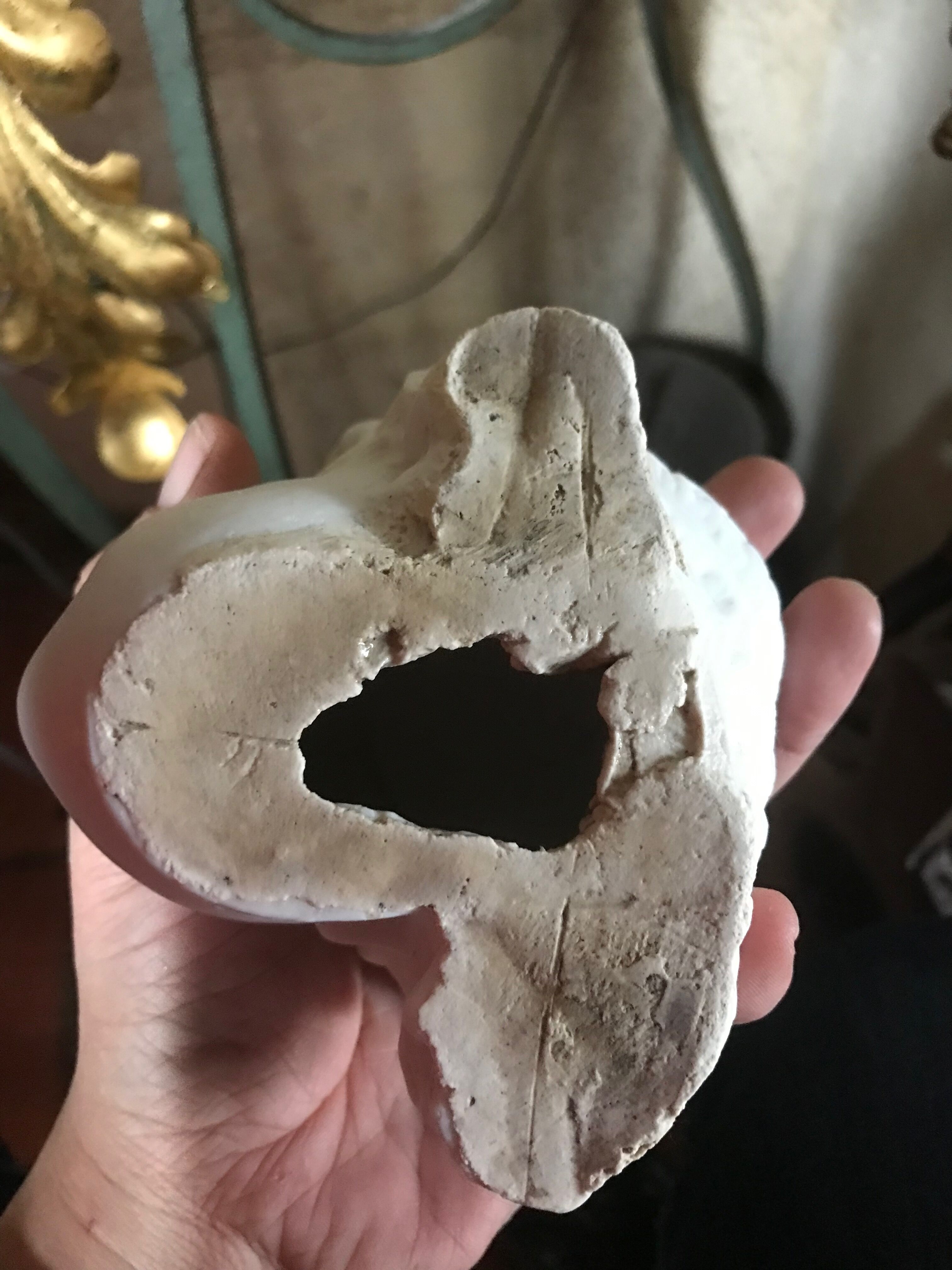 Child's head in biscuit