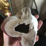 Child's head in biscuit