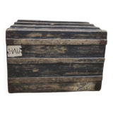 Large old trunk
