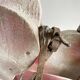 50's wooden horse toy