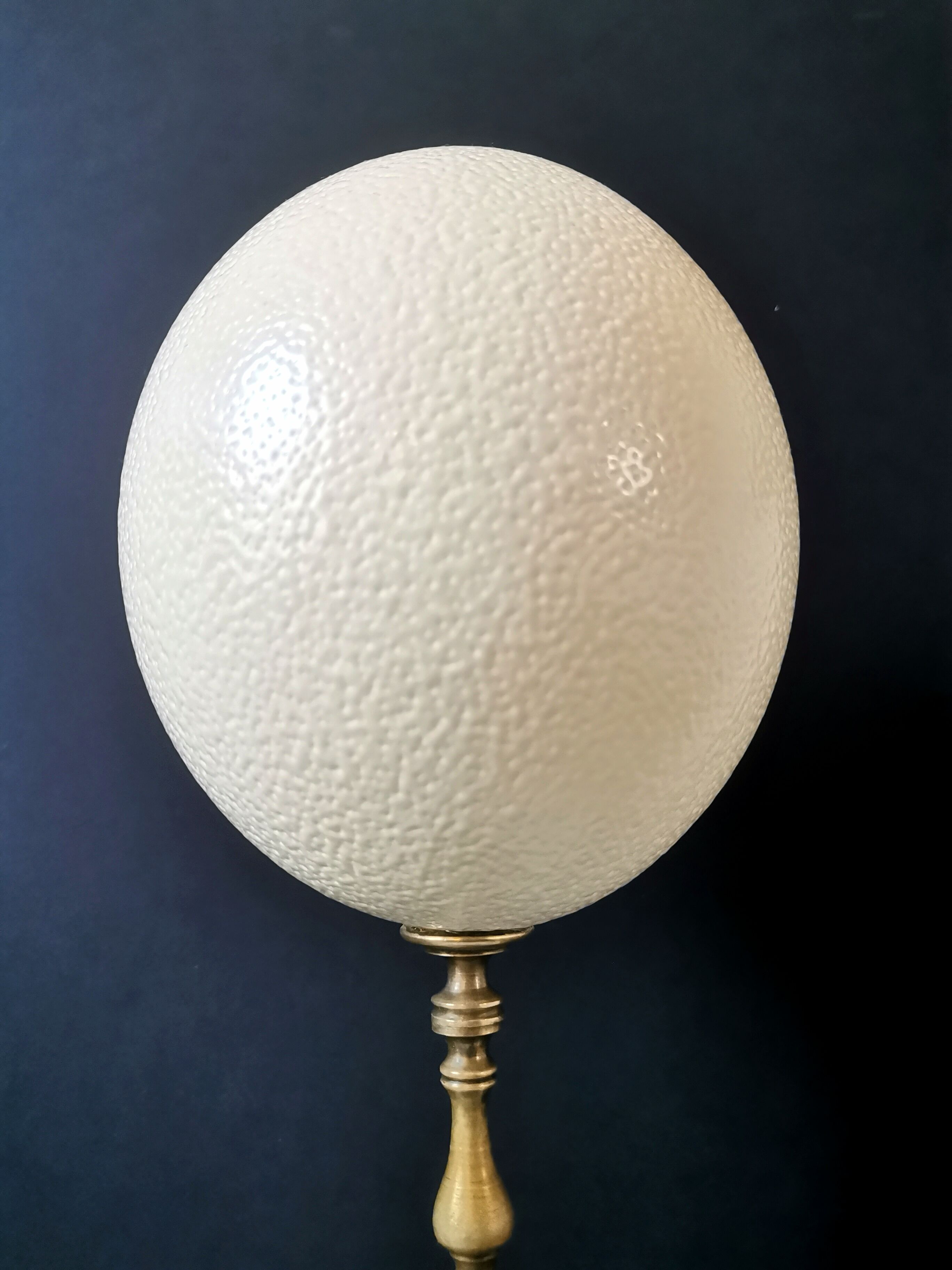 Oeuf d'Autruche, Socle en Bronze et Marbre Noir (Fin XIXè- Début XXè) H:32cm