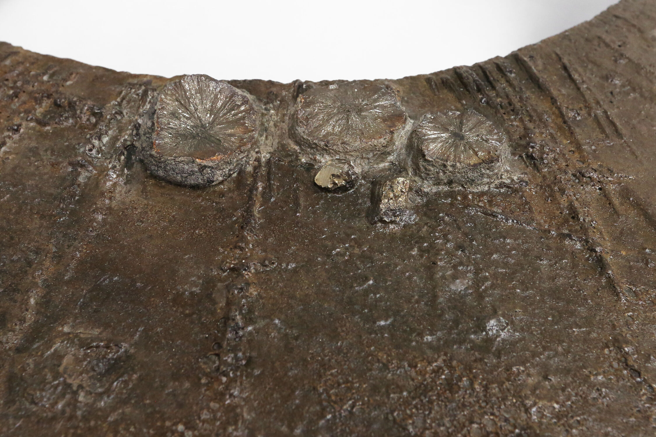 Pia Manu coffee table