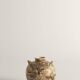 Satsuma Earthenware Vases, Hand-Painted Polychrome, Japan, Set of 2