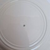 Vintage blue dinner plates