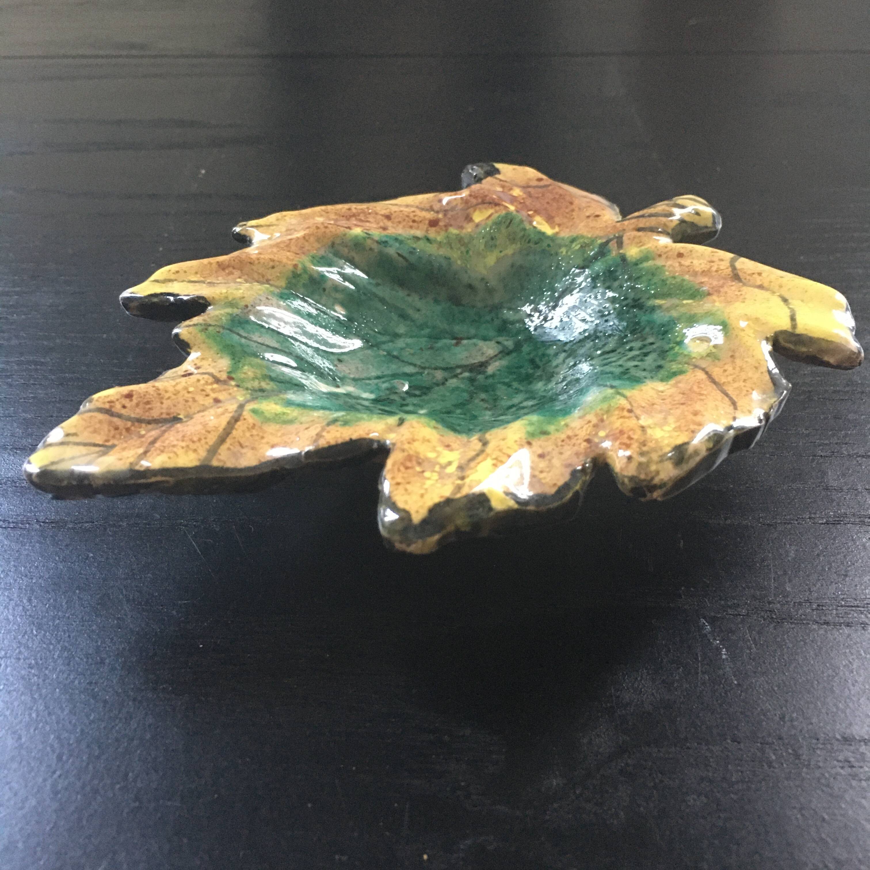 Empty autumn leaf pocket