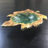 Empty autumn leaf pocket