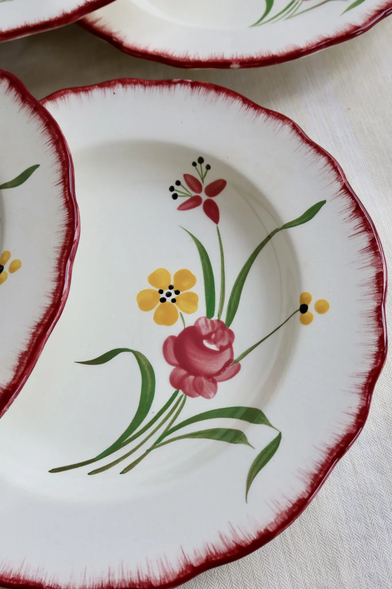 6 vintage deep plates Terre de Fer Salins model Pierrette