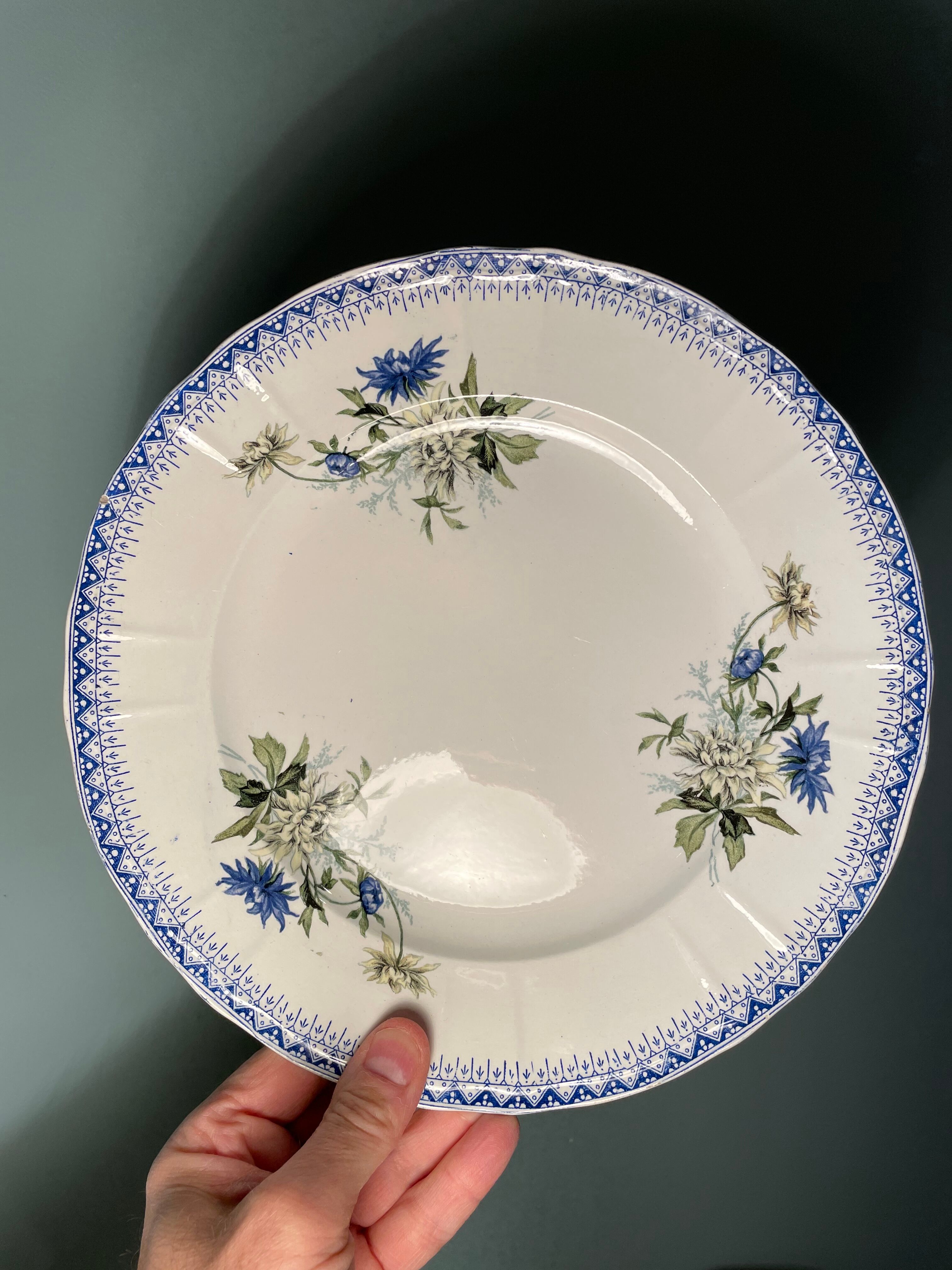 Set of 12 flat plates Terre de Fer St Amand and Hamage