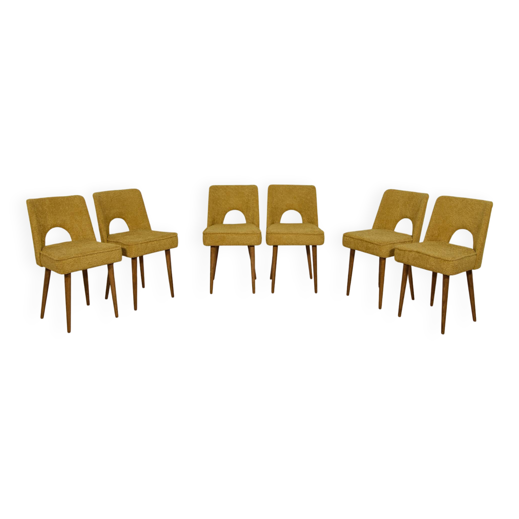 Polish Shell Chairs from Bydgoszcz Furniture Factory, 1960s, Set of 6