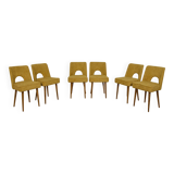 Polish Shell Chairs from Bydgoszcz Furniture Factory, 1960s, Set of 6