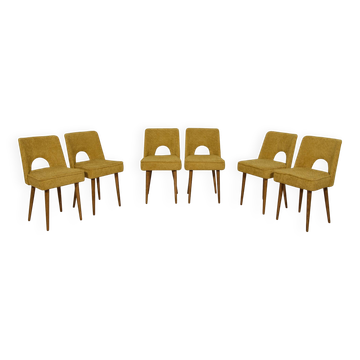 Polish Shell Chairs from Bydgoszcz Furniture Factory, 1960s, Set of 6