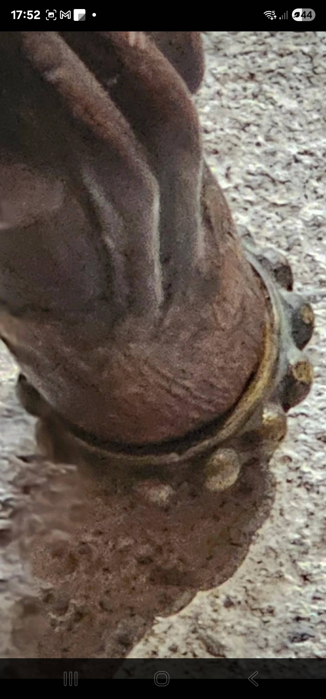 Louis-Philippe armchair in mahogany and burgundy velvet, floral decoration.