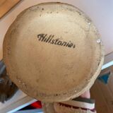 Hillstonia pitcher